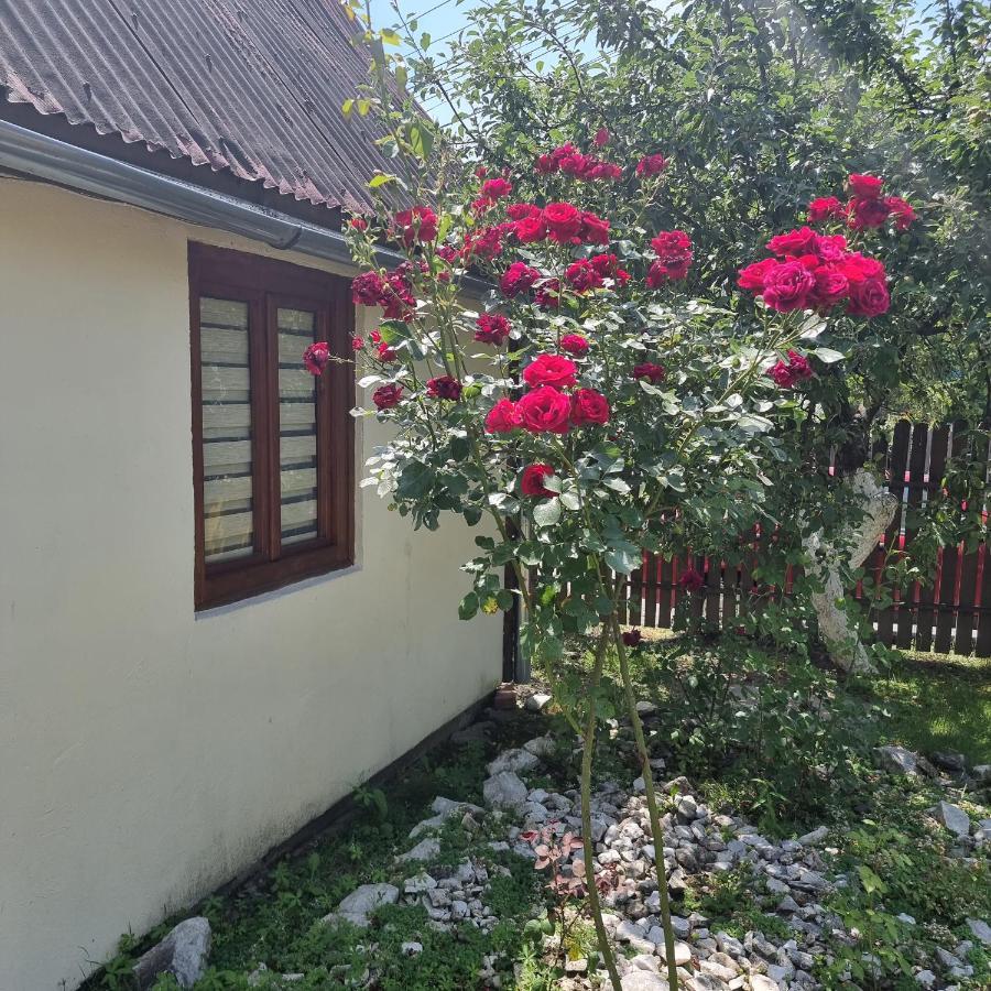 Vila Paula & Spa Sovata Exteriér fotografie